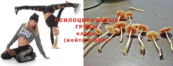 стаф Алексин