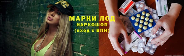 сатива Абаза
