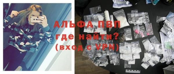 стаф Алексин