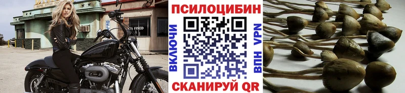Псилоцибиновые грибы ЛСД  Болхов 